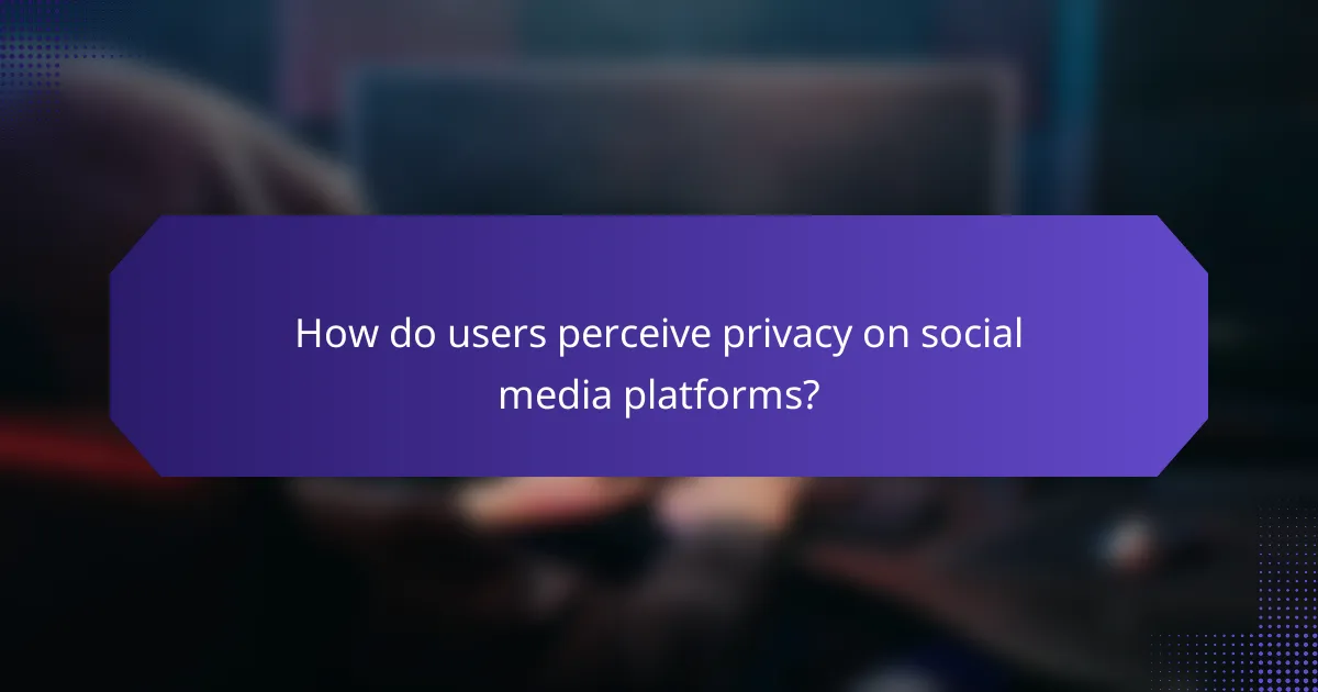 How do users perceive privacy on social media platforms?